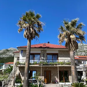 4 Palme , Starigrad Paklenica Chorwacja